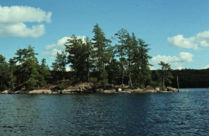 Superior National Forest scene