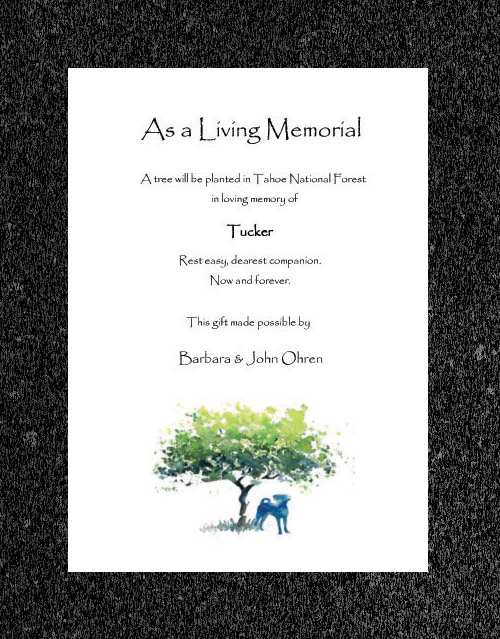 ggive a tree in memory note