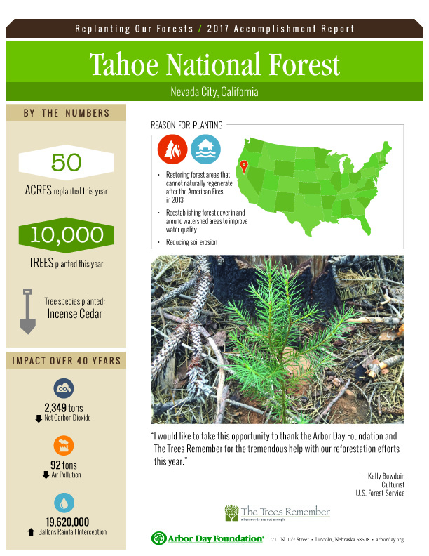 2017_tahoe The Trees Remember