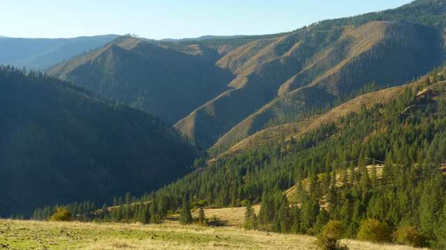 mountains and wooded foothills in Nez Perce National Forest