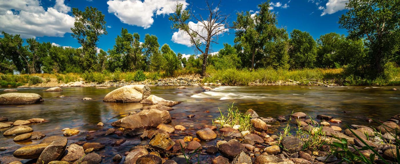 beautiful Colorado forest stream