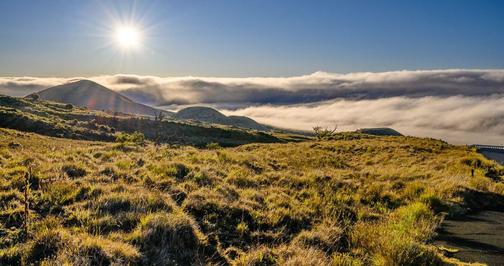 Mauna Kea landscape