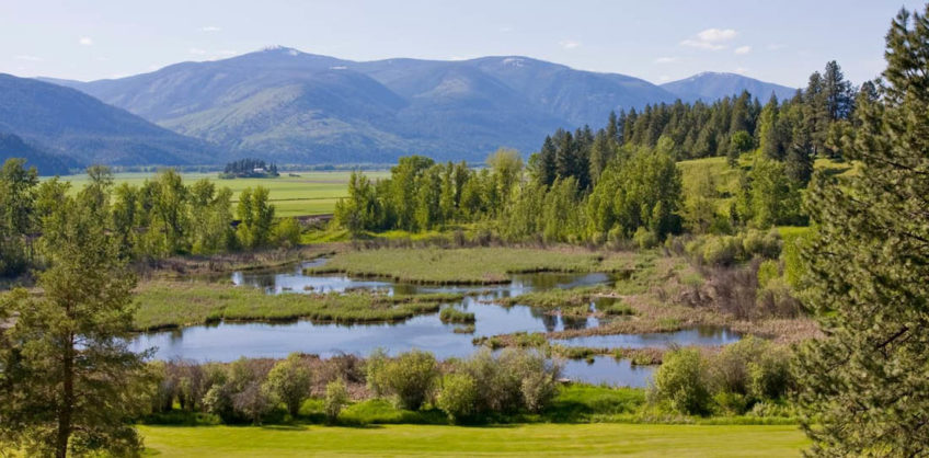 Planting Trees In Idaho 2024 - The Trees Remember