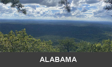 planting trees in Alabama