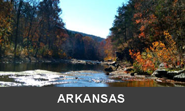 planting trees in Arkansas