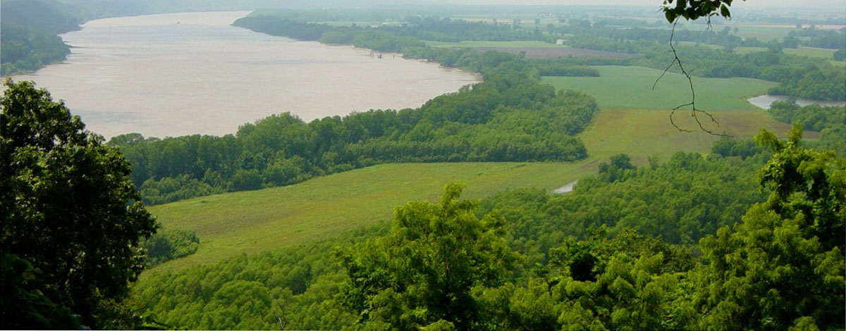 Illinois river forests