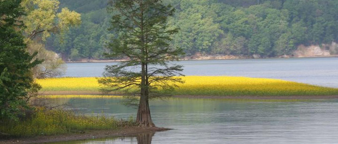 Tennessee river landscape