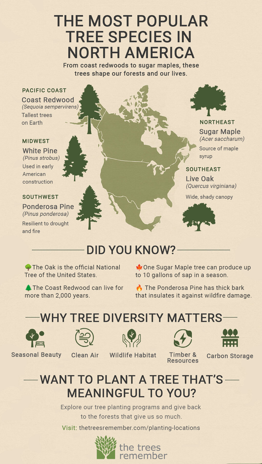 Most Popular Tree Species Across North America - The Trees Remember