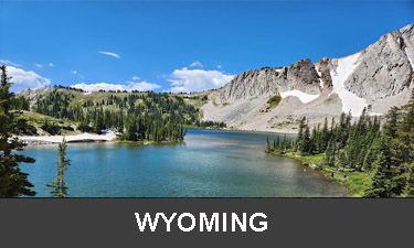 Planting trees in Wyoming