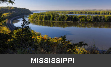 planting trees in mississippi