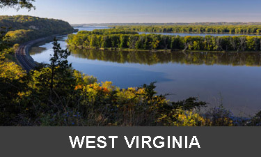 planting trees in Pest Virginia