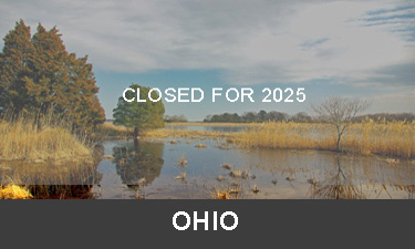 Label for closed tree planting program in Ohio