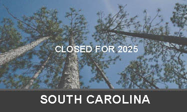 planting trees in South Carolina CLOSED