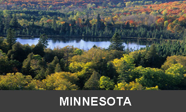 planting-trees-in-minnesota