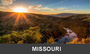 planting-trees-in-missouri