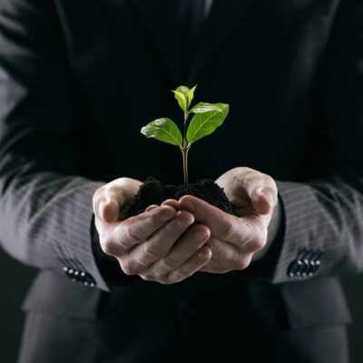 corporate trees badge corporate trees badge