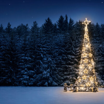Christmas tree Illuminated christmas tree in the snow at night with copy space