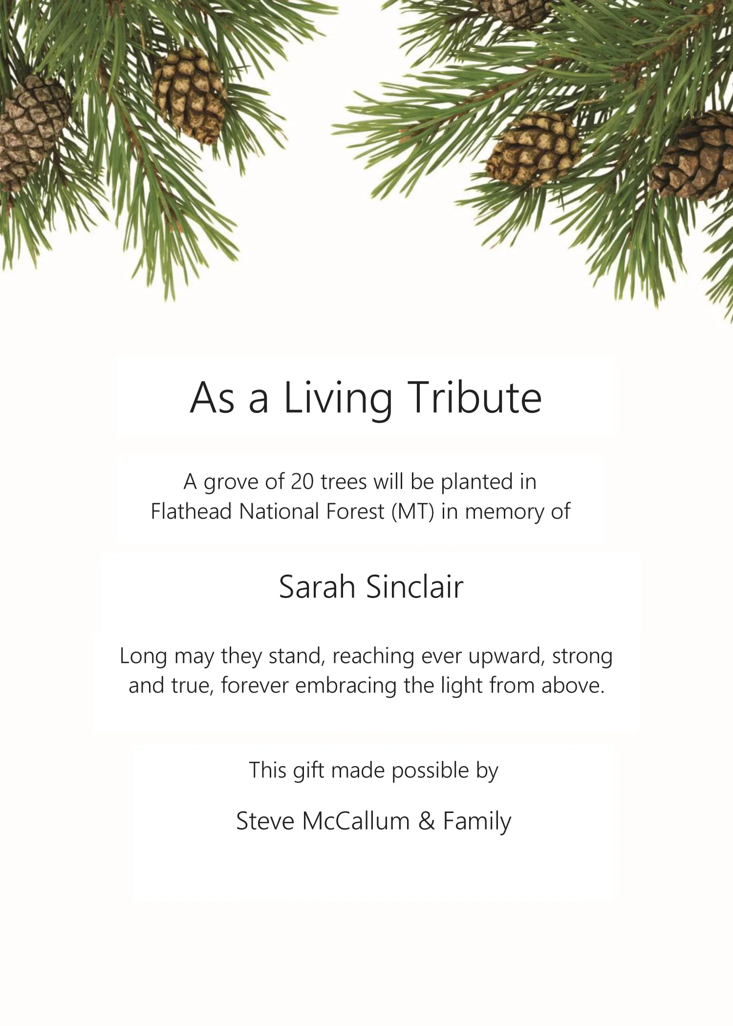Pinecones Memorial Card